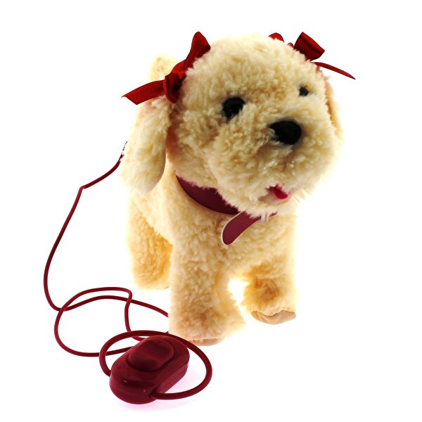 Dansçı Köpeğim Boncuk