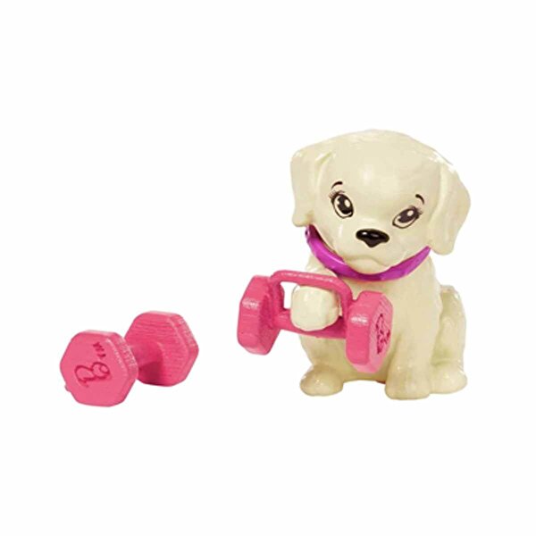 Barbie Wellness Barbie'nin Spa Günü Bebekleri HKT91