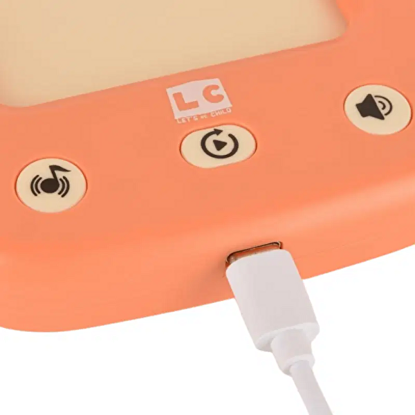 LC Öğreti̇ci̇ Türkçe ve İngi̇li̇zce Konuşan Kartlar Turuncu