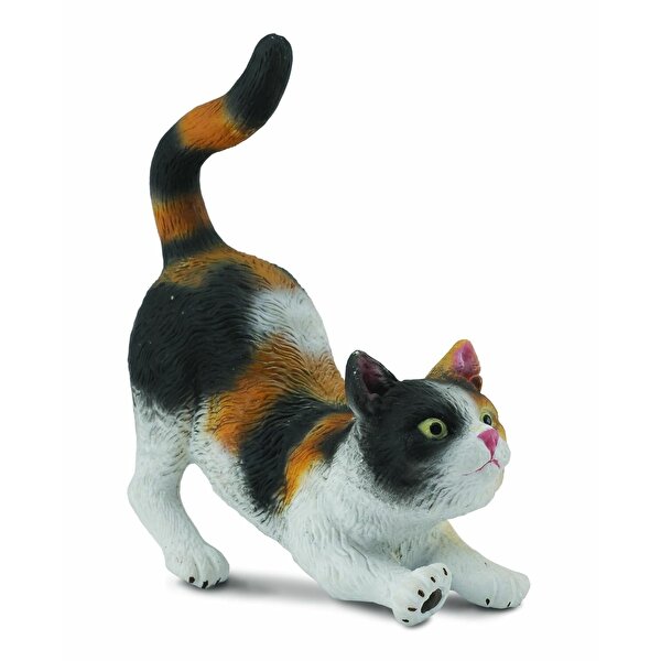Collecta 3 Renkli Ev Kedisi