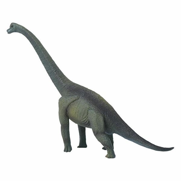 Collecta Brachiosaurus