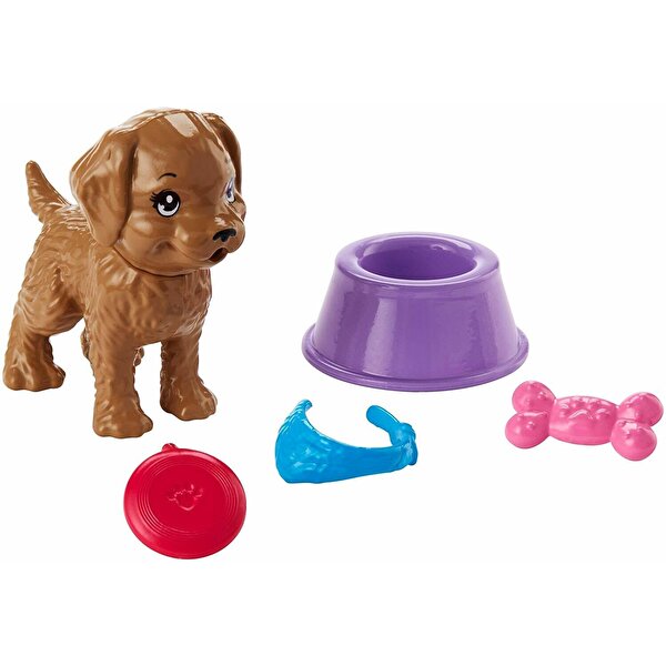 Barbie'nin Hayatından Eğlenceli Aksesuarlar Köpek Bakımı Temalı FHY70