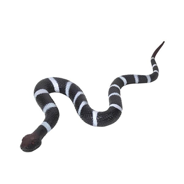 Stretch Siyah Yılan