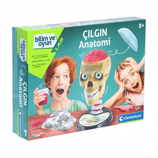 Bilim ve Oyun Çılgın Anatomi Beyin