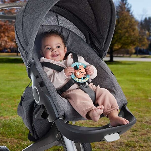 Fisher-Price Sensimals Dişlik HRB21