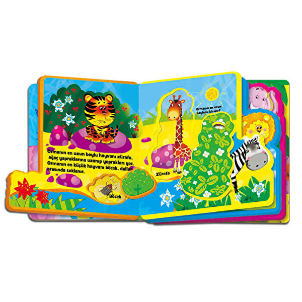 Orman Hayvanları Hikaye Kitabı