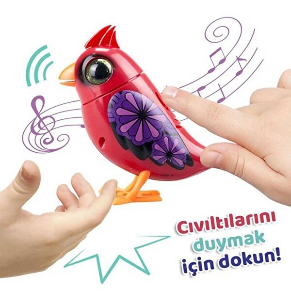 Digibirds Tek Paket Seri 1 Kırmızı