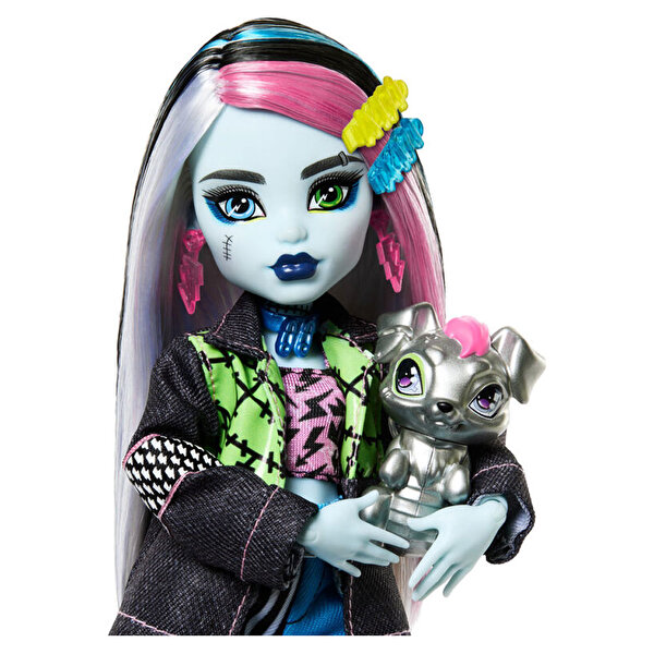 Monster High Ana Karakter Bebekler Frankie Stein HXH73
