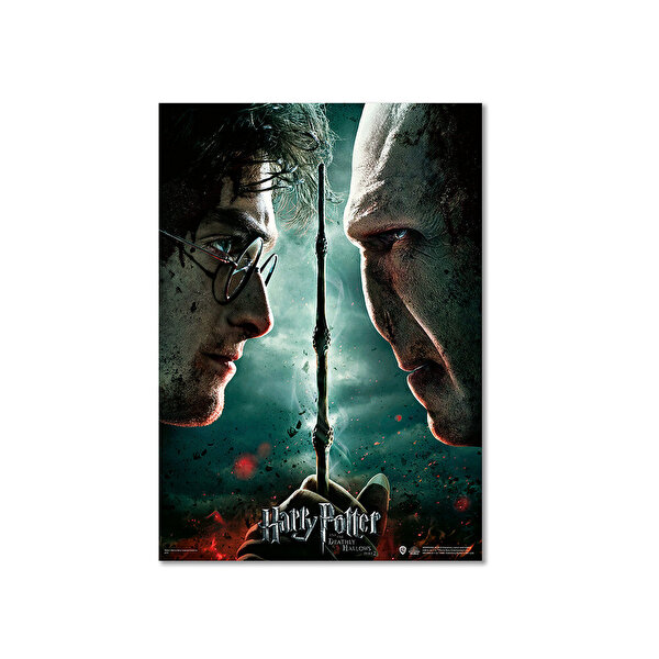 Wizarding World Harry Potter Poster - Deathly Hallows Part 2. Harry Potter vs Voldemort