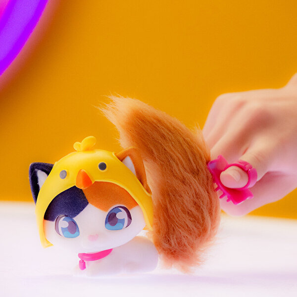 QT Kitties Oli Yavru Kedİ