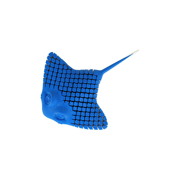 Hareketli Hayvanlar Serisi Vatoz