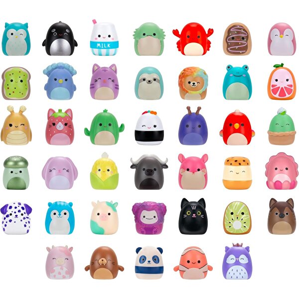 Squishmallows Squish-a-Longs 40’lı Mini Figür Seti
