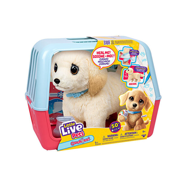 LLP Yavru Köpek İyileşiyor 26679