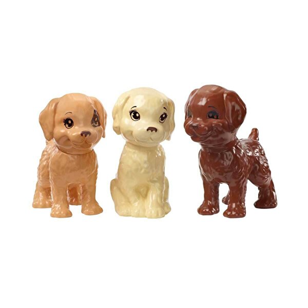 Barbie ve Köpekleri Banyo Keyfinde Oyun Seti GDJ37