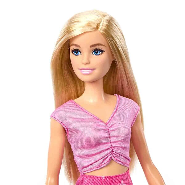 Barbie Malibu Bebek ve Aksesuarları JMJ47
