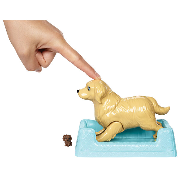 Barbie ve Doğuran Köpeği FDD43