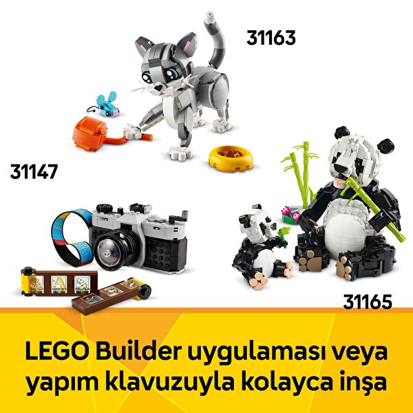 LEGO Creator 3'ü 1 Arada Çiçekli Daktilo 31169