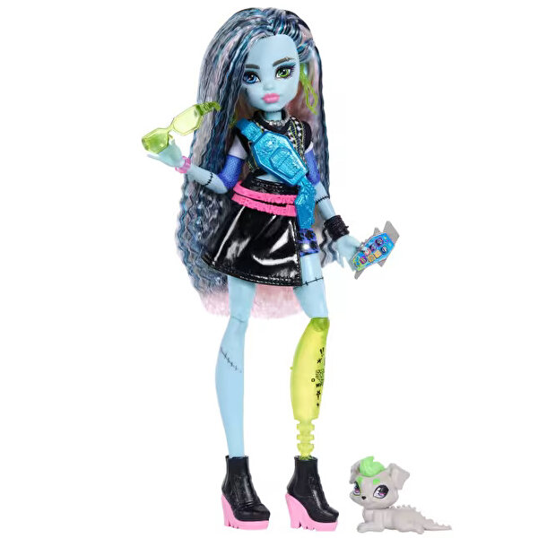 Monster High Ana Karakter Bebekler Frankiestein JHK31