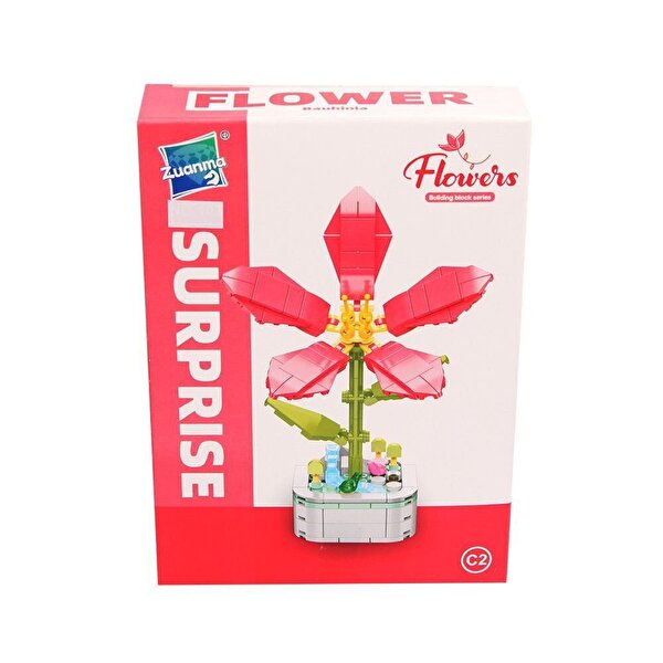 Saksıda Çiçek Yapım Seti Bauhinia