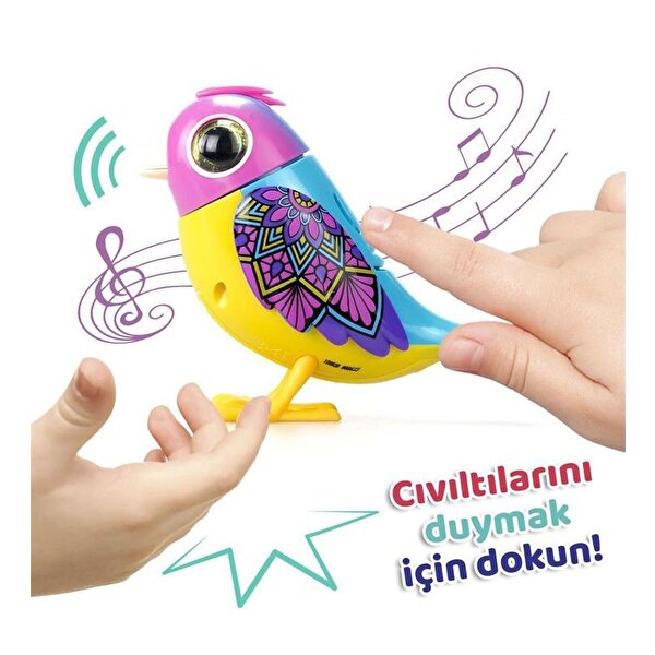 Digibirds Tekli Paket Seri 2 Sarı Mavi