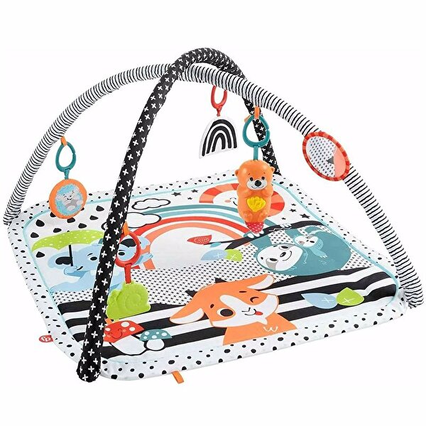 Fisher Price Neşeli Hayvanlar 3'ü 1 Arada Jimnastik Merkezi HBP41