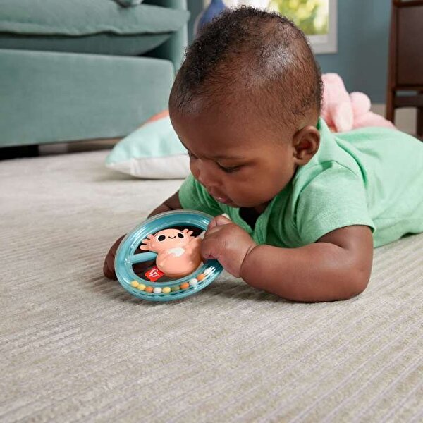 Fisher-Price Sensimals Dişlik HRB21