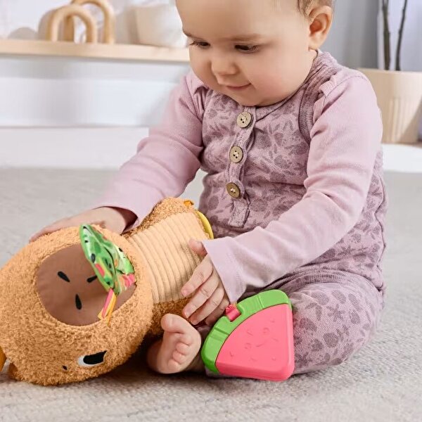 Fisher Price Cuddly Capybara HYR54