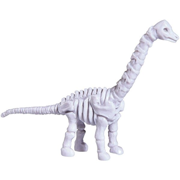 Kazıcı Dinoskeletonlar Brachiosaurus