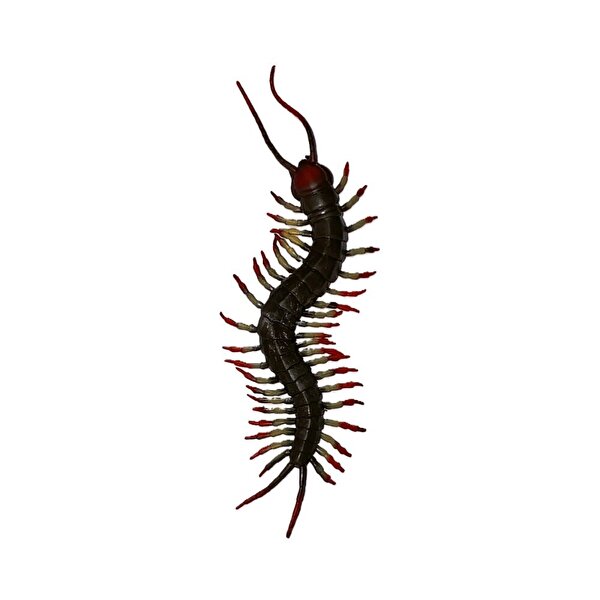 Stretch Kırkayak