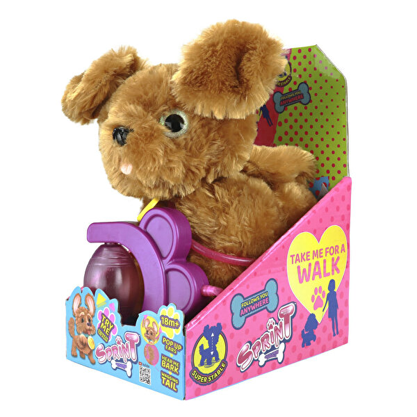 Sevimli Koşu Arkadaşım Golden