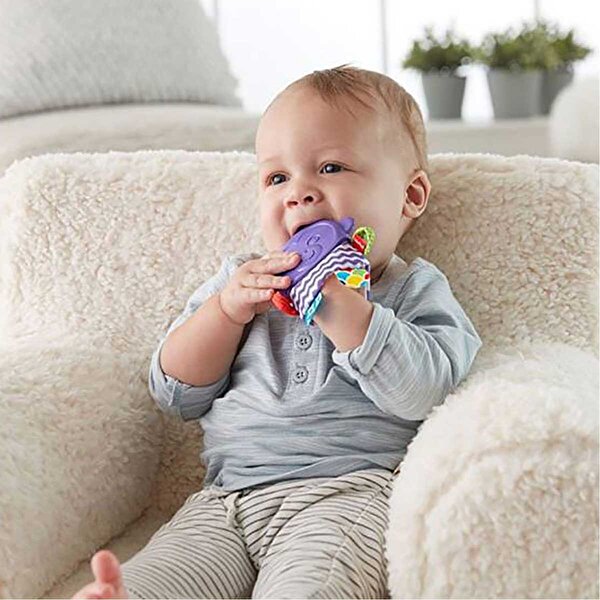 Fisher Price Maymun Arkadaşım Dişlik