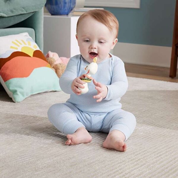 Fisher-Price Sensimals Dişlik HRB22