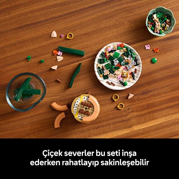 LEGO Botanicals Mini Orkide 10343