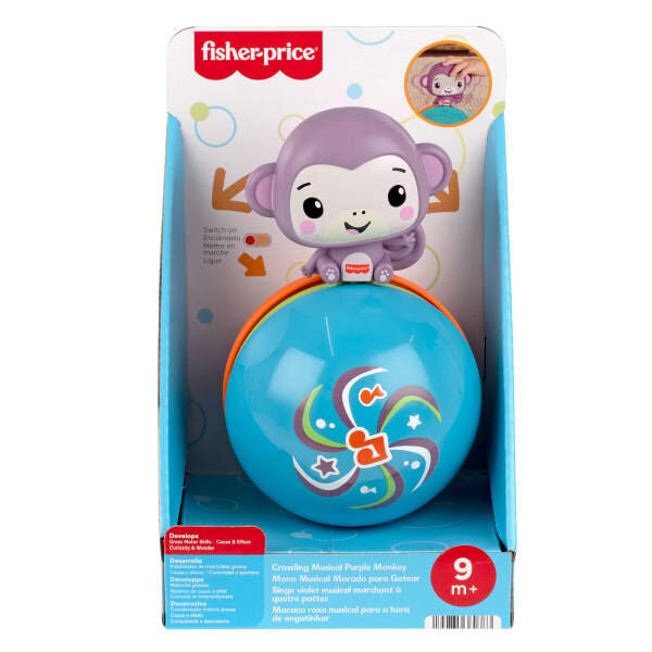 Fisher Price Emekleme Arkadaşı Müzikli Mor Maymun JLB95