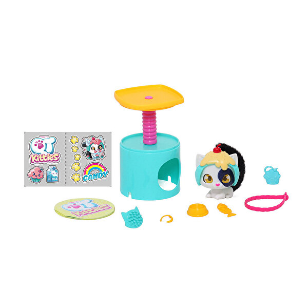 QT Kitties Candy Yavru Kedi