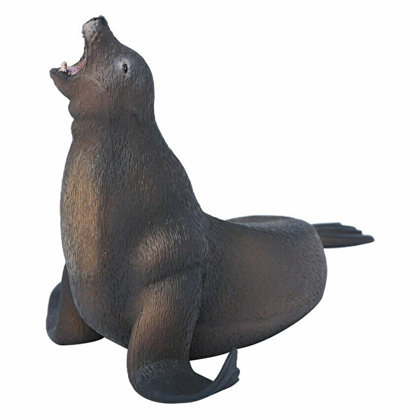 Collecta Deniz Aslanı