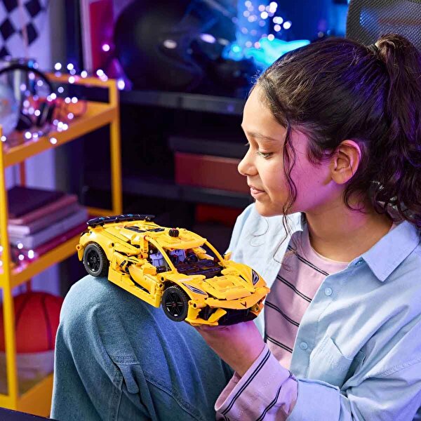 LEGO Technic Chevrolet Corvette Stingray 42205
