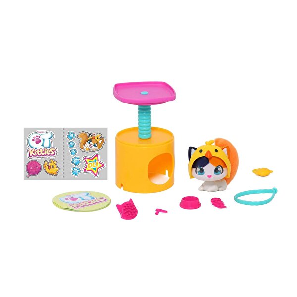 QT Kitties Oli Yavru Kedİ