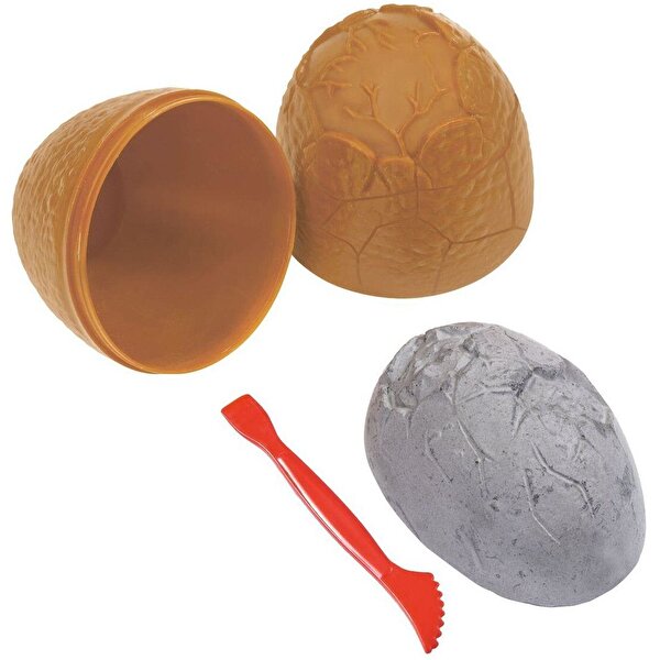 Kazıcı Dinoskeletonlar Stegosaurus