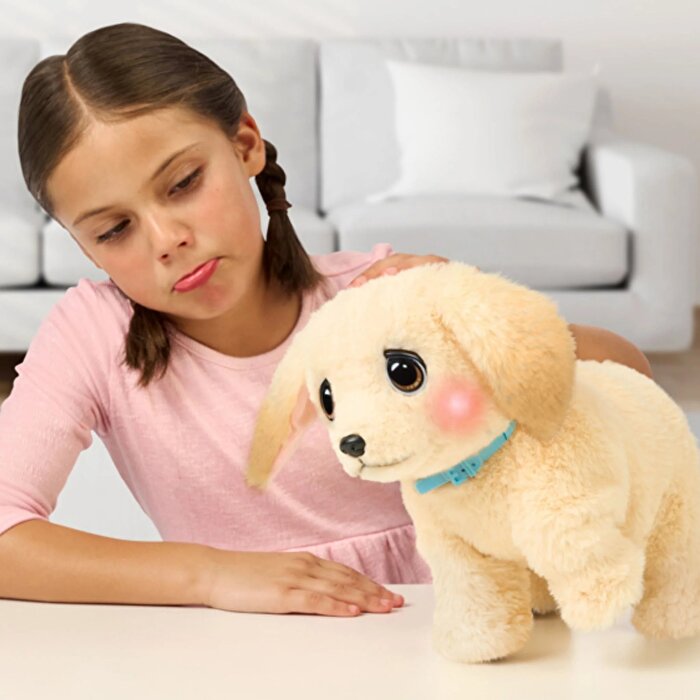 LLP Yavru Köpek İyileşiyor 26679