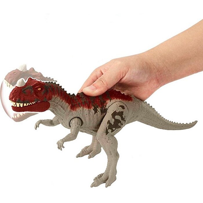 Jurassic World Kükreyen Saldırı Dinozoru Figürleri Ceratosaurus HCL92