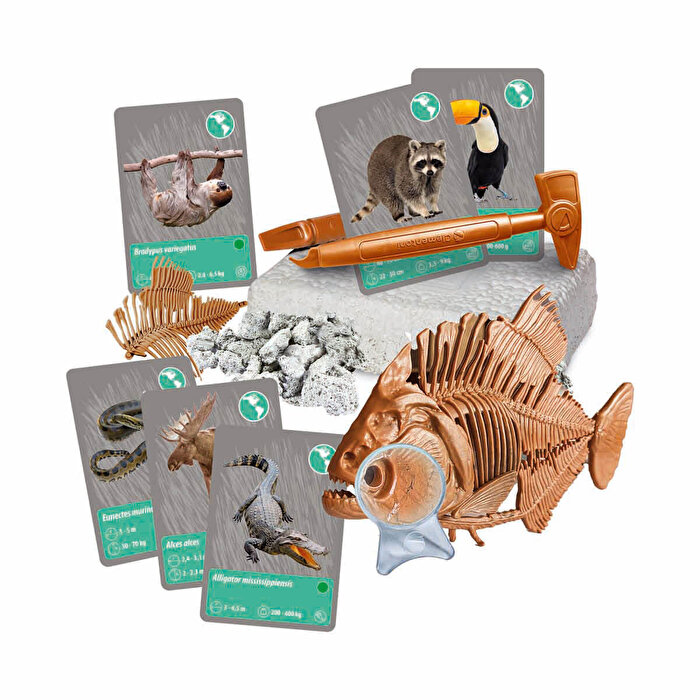 Clementoni Bilim ve Oyun: Dünyadaki Hayvanların Tarihi