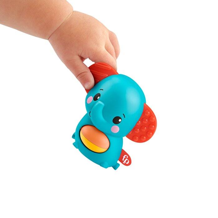 Fisher Price Mini Hayvancıklar Aktivite Oyuncağı Fil GXC63