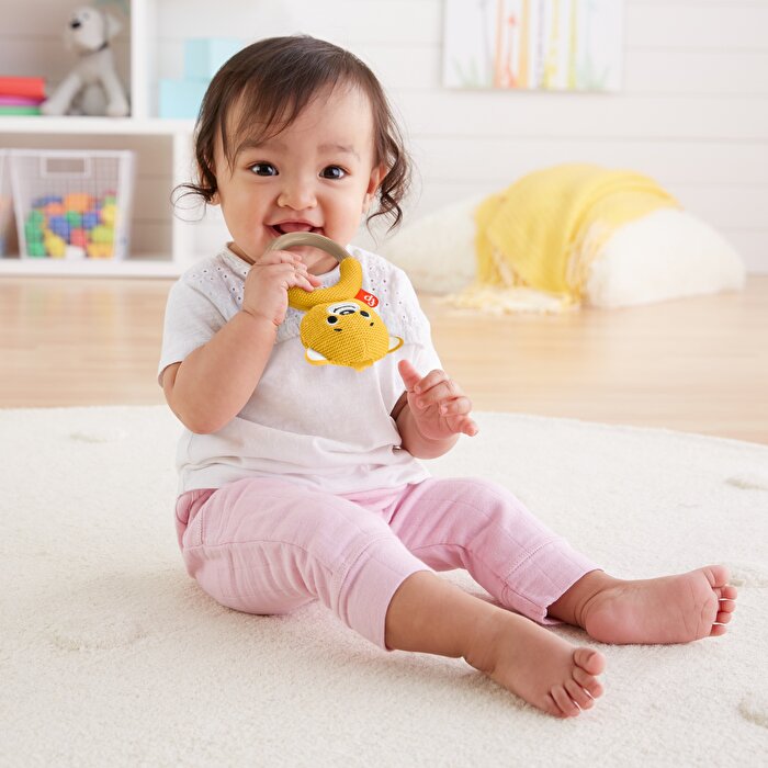 Fisher Price Örgü Dişlik Seti Ayı GRR05