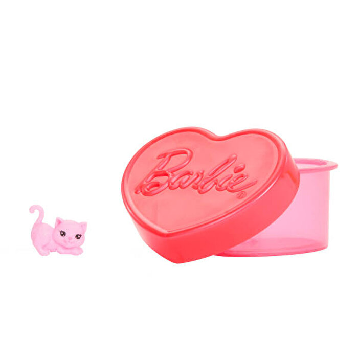 Barbie Parti Paketi Muhteşem Parti serisi Chelsea Bebek JFY04