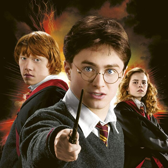 Harry Potter Hafıza Oyunu