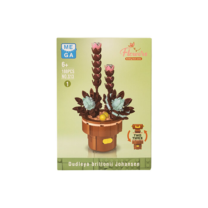 Mega Bitki Çiçekleri Sukulent 188 Parça