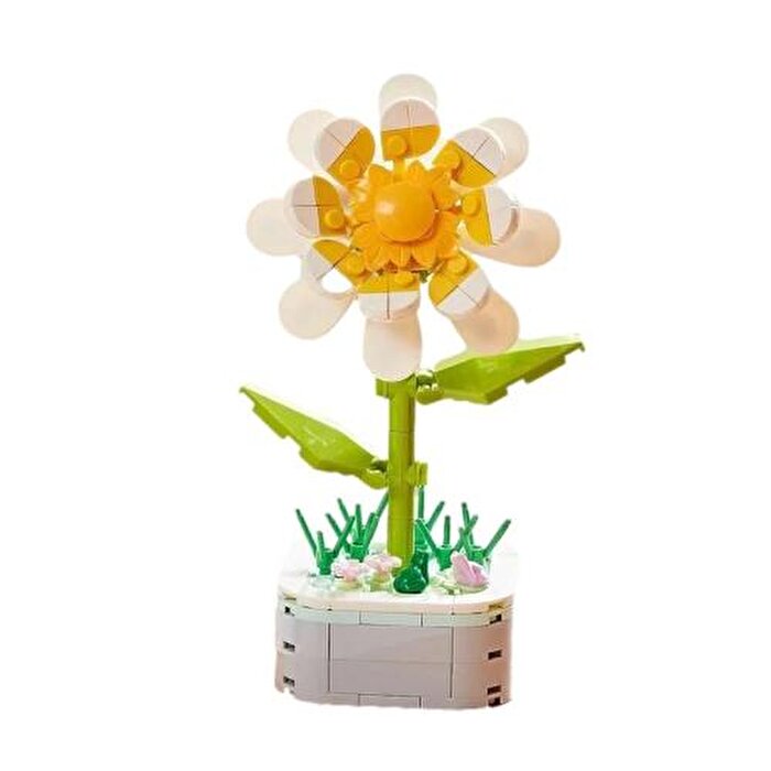 Saksıda Çiçek Yapım Seti Noon Flower