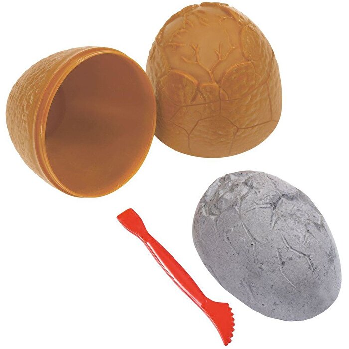 Kazıcı Dinoskeletonlar Velociraptor