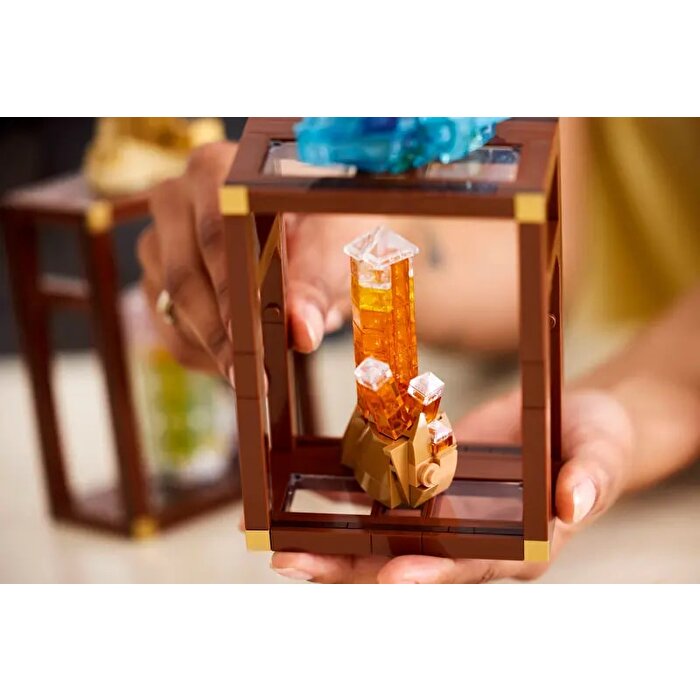 LEGO Ideas Mineral Koleksiyonu 21362